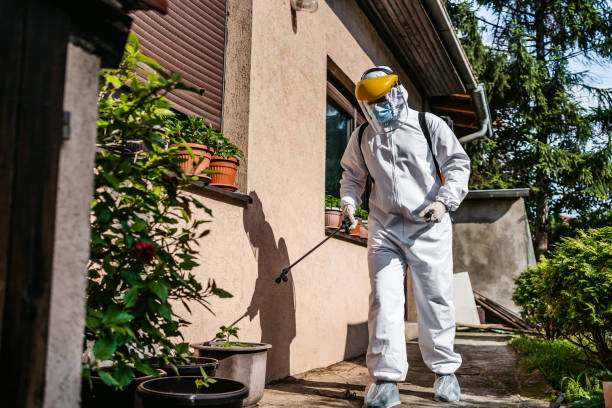 Best Wasp Removal Services  in Pelican Bay, TX
