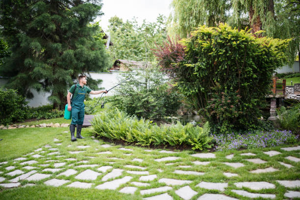 Best Best Pest Control Companies  in Pelican Bay, TX