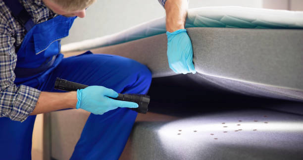 Trusted Pelican Bay, TX Pest Control Experts