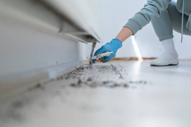 Professional Pest Control in Pelican Bay, TX